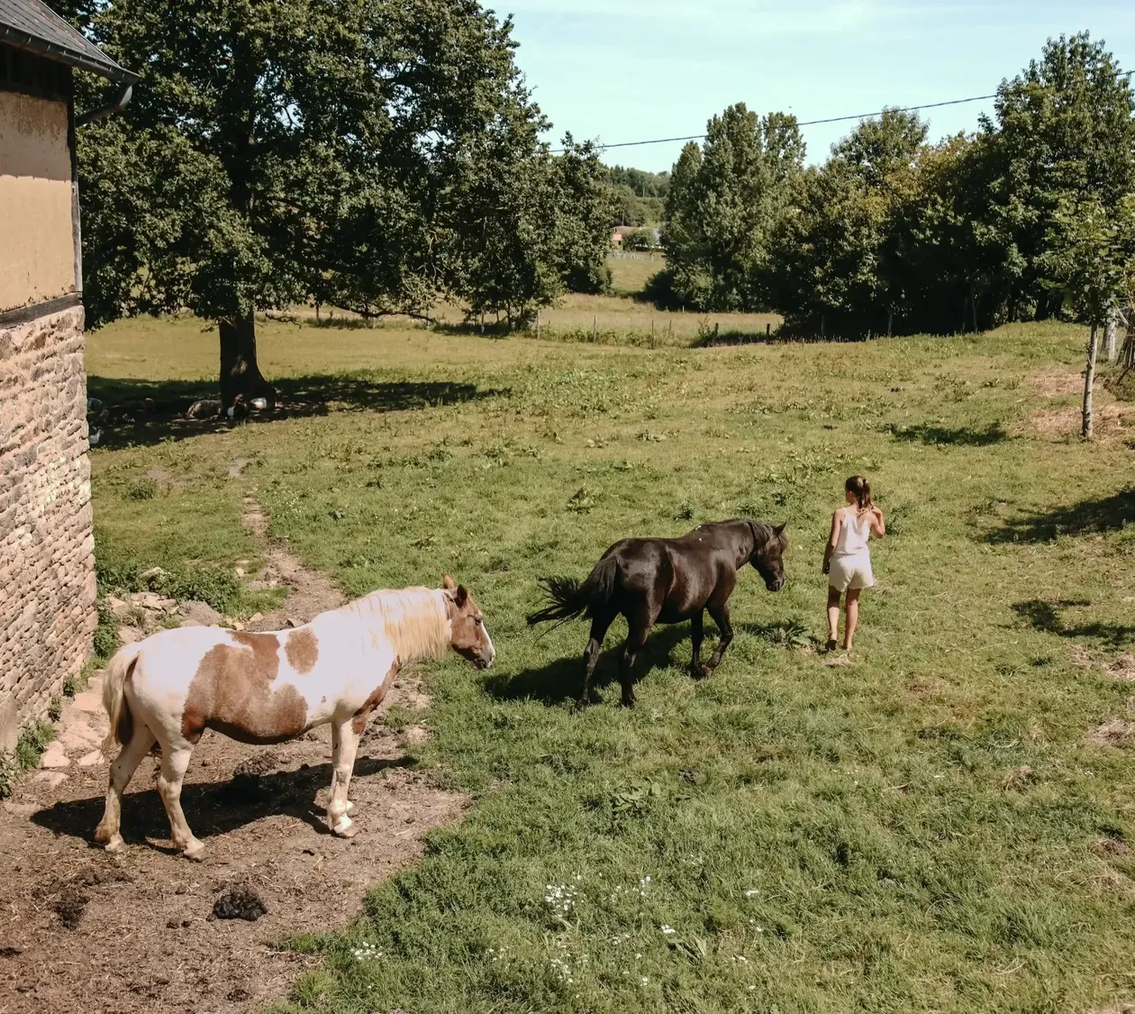 Ô Manoir de Glam's, Isigny-le-Buat : image 3