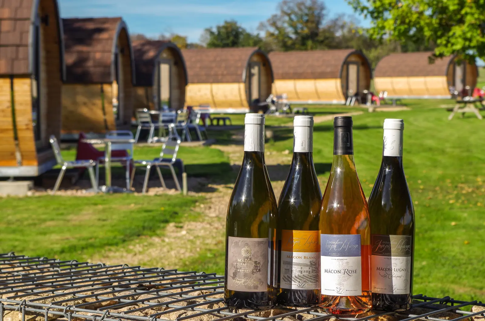 Oeno-tonneaux du Domaine Joseph Lafarge, Lugny : image 5