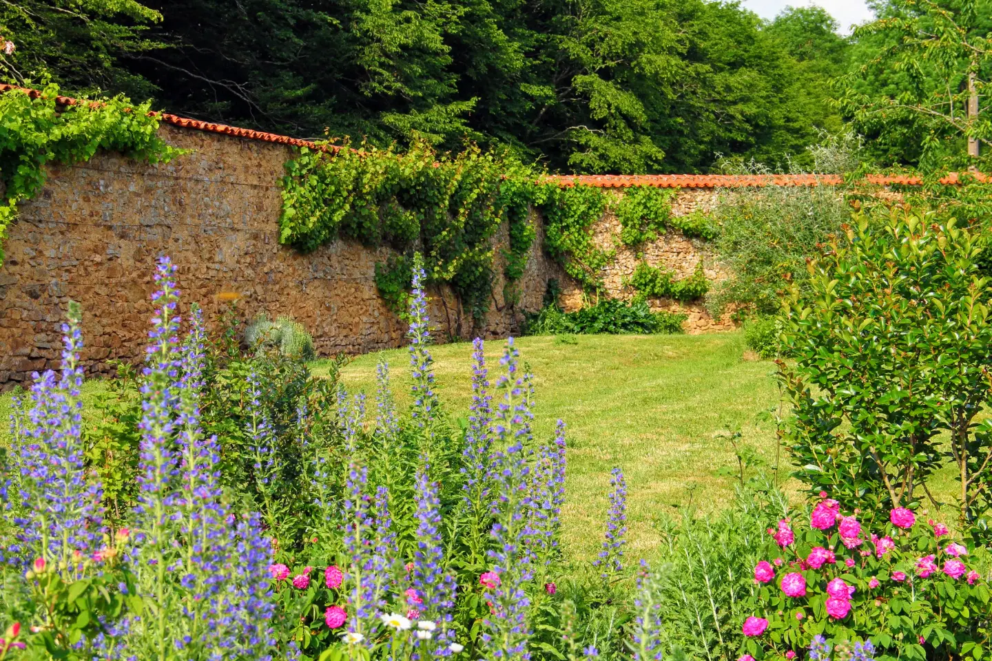 Pavillon des Bois, Le Pin : image 3