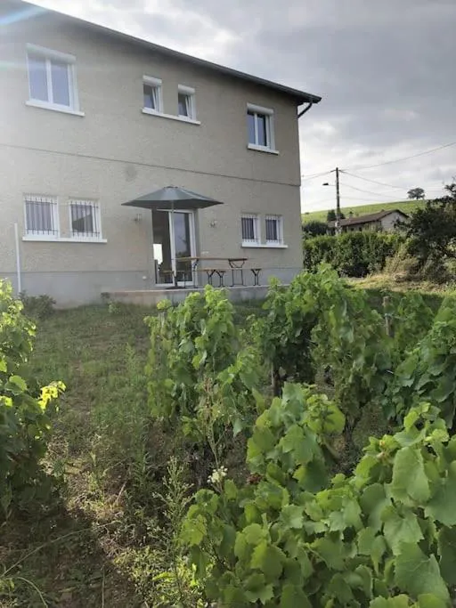 Petit Gîte de Javernières, Villié-Morgon : image 5
