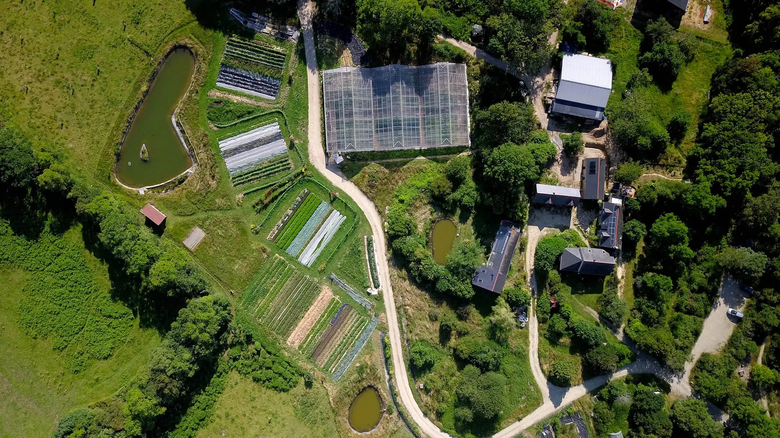Petit gîte de Demain en Main, Locoal-Mendon : image 2