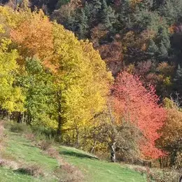 Petit gîte de Magnaudes, Borée : image 2