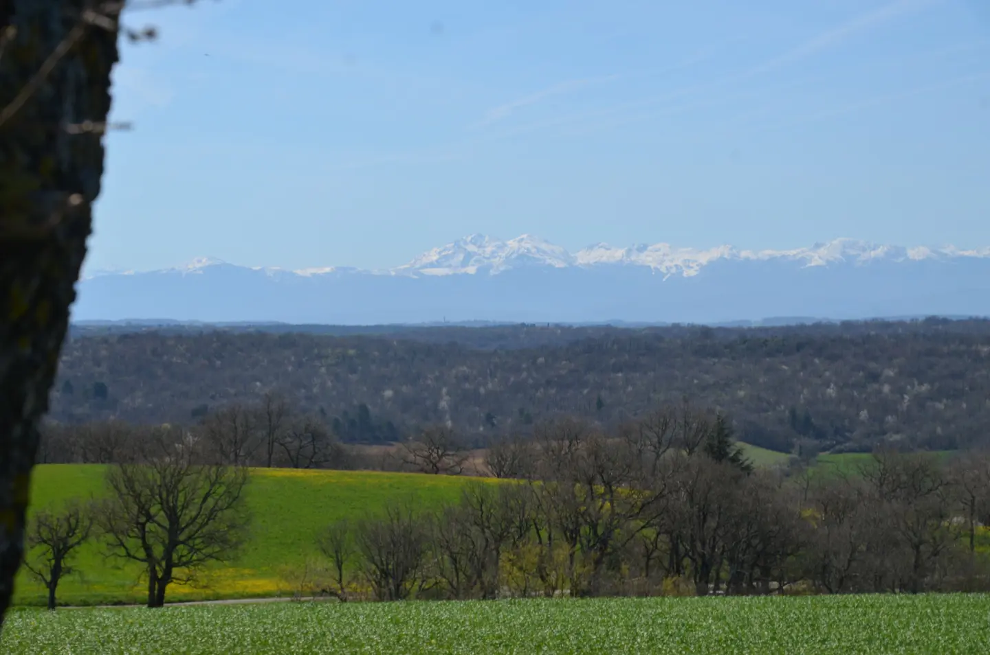 Pibounid d'Aigle, Payra-sur-l'Hers : image 2