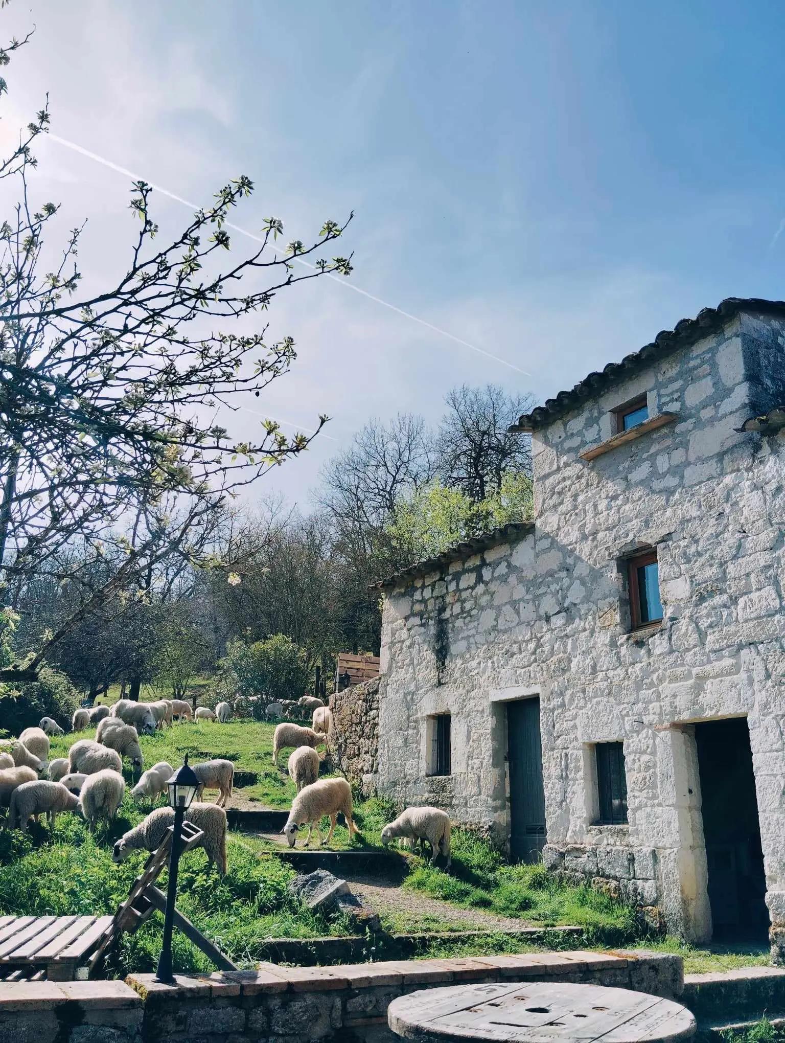 Pigeonnier Paysanna (chambre d'hôtes à la ferme), Vazerac