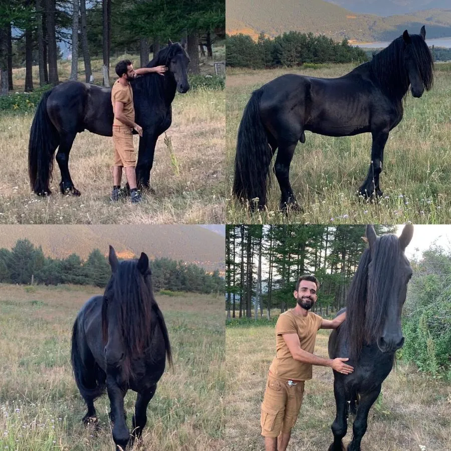 Ranch Le Serpolet, Les Angles : image 3