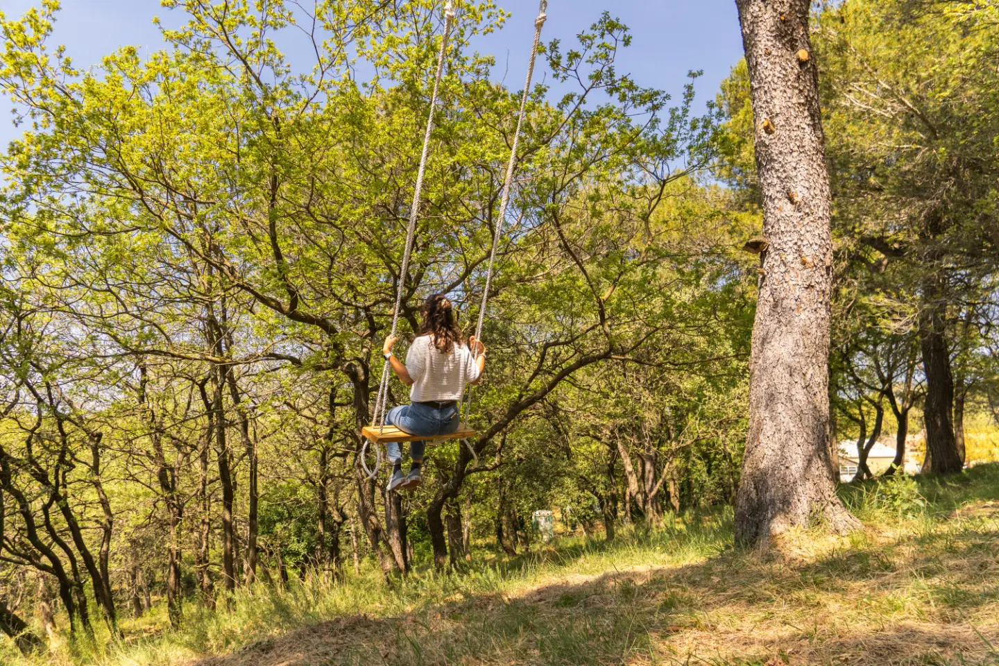 Refuge de la Forêt Enchantée, Mondragon : image 4