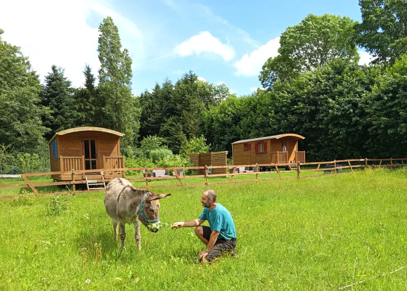Roulotte des ânes de Lytavis (hébergement insolite à la ferme), Saint-Christophe-sur-Condé