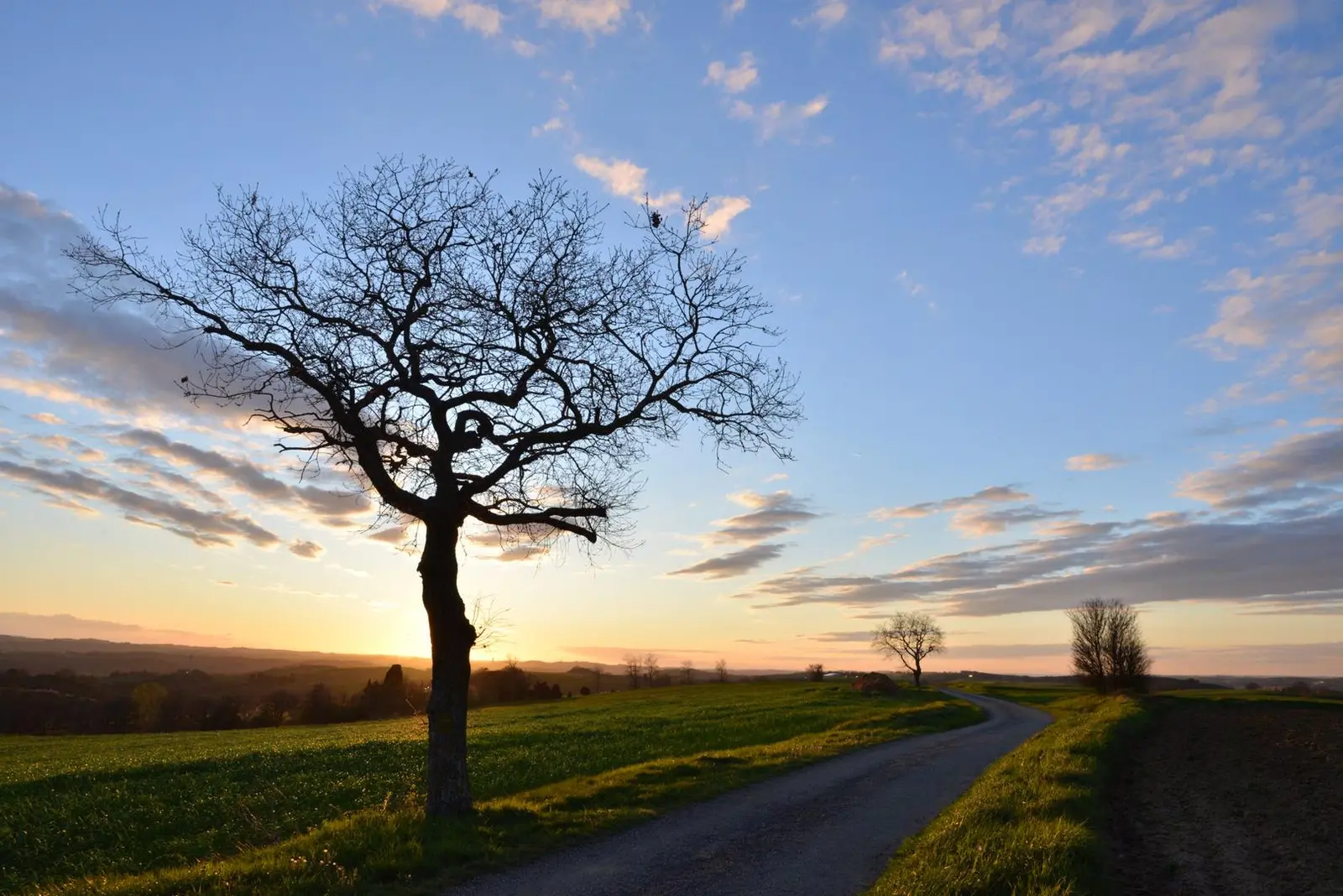 Roulotte des Arbres de la Piboulette, Payra-sur-l'Hers : image 4
