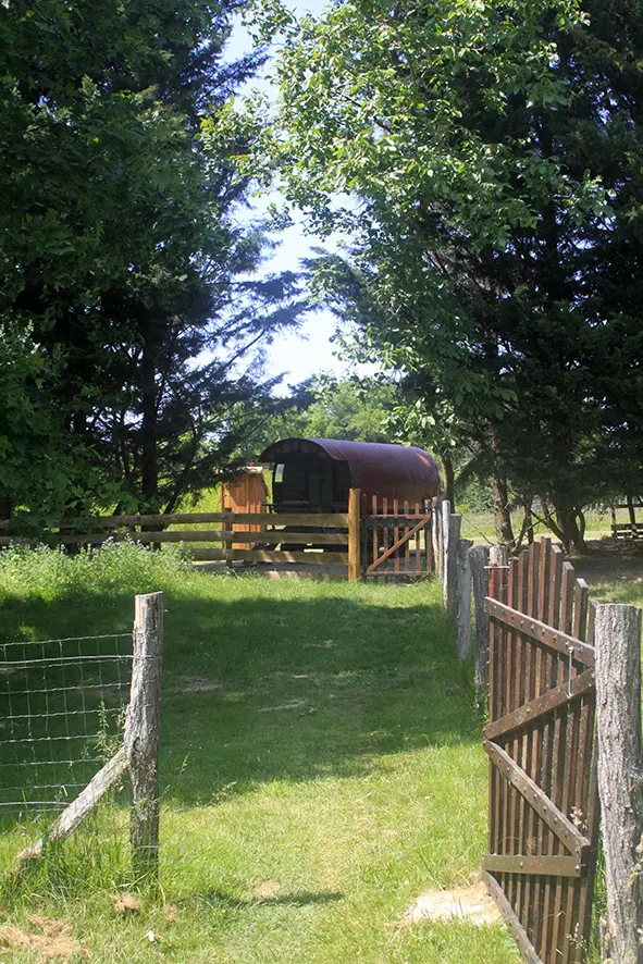 Roulotte Polly, Saint-Vincent-en-Bresse : image 2