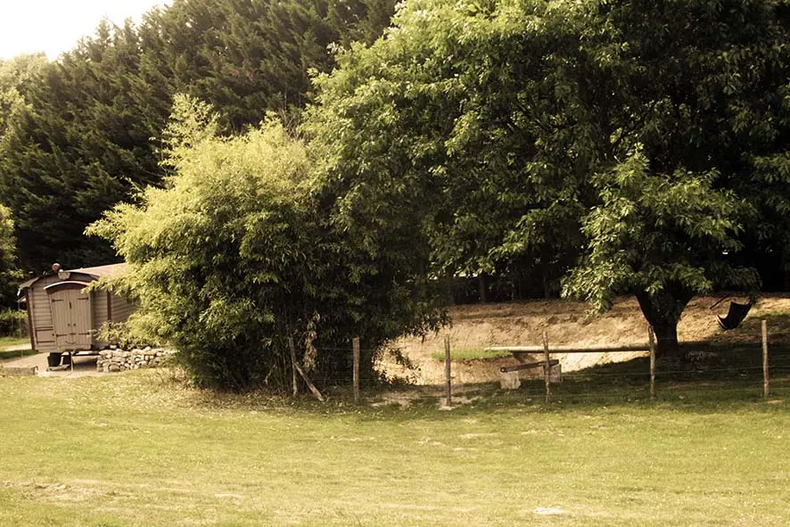 Roulotte Polly, Saint-Vincent-en-Bresse : image 5