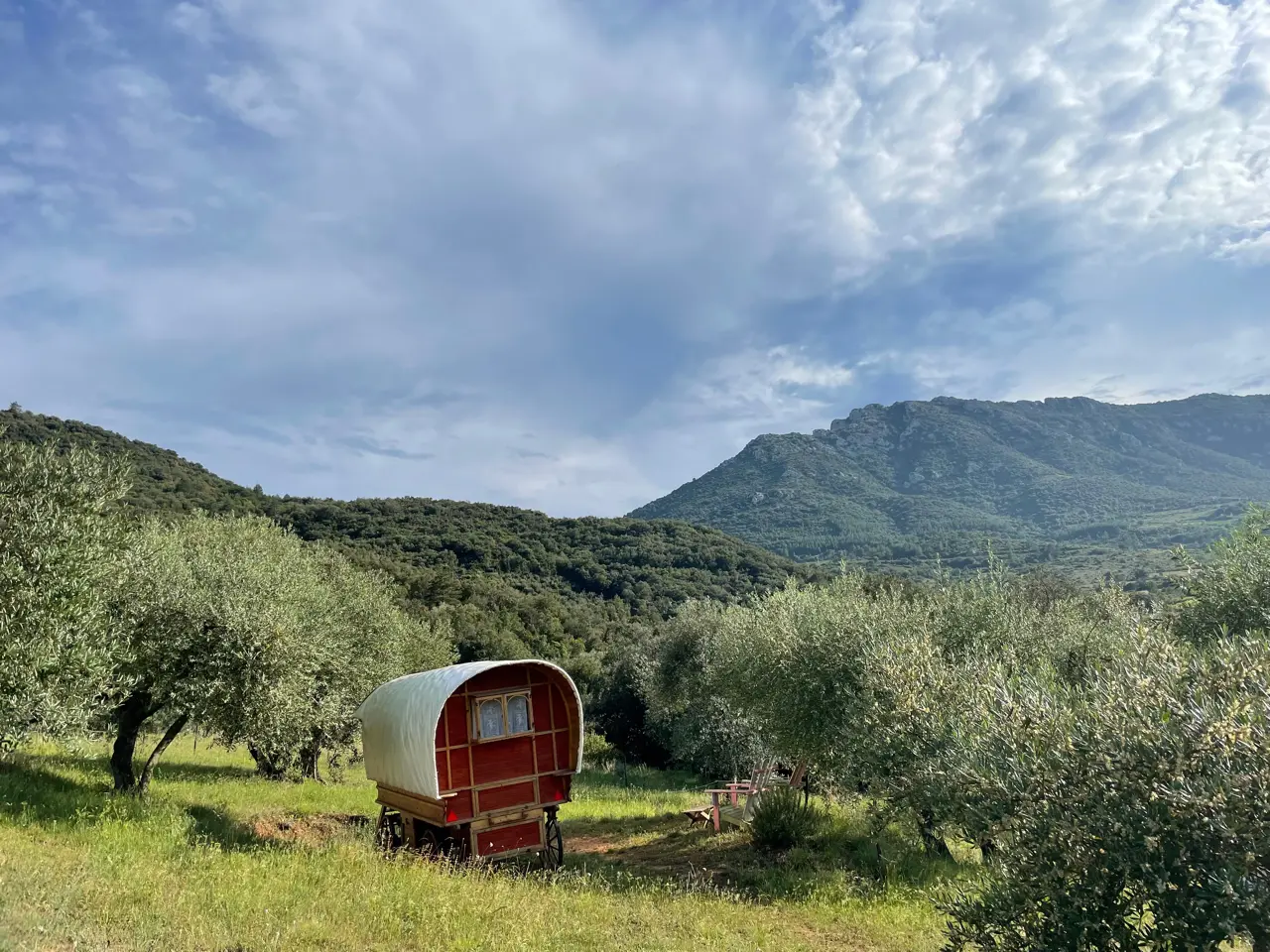 Roulotte Varda du Camping de Cucugnan, Cucugnan : image 4