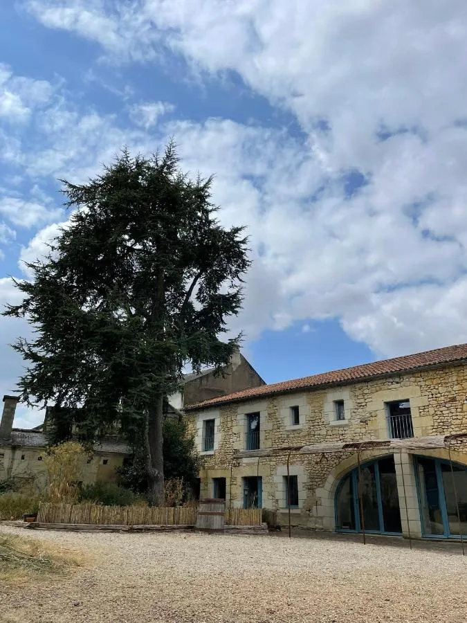 Sirona, Le Puy-Notre-Dame : image 4
