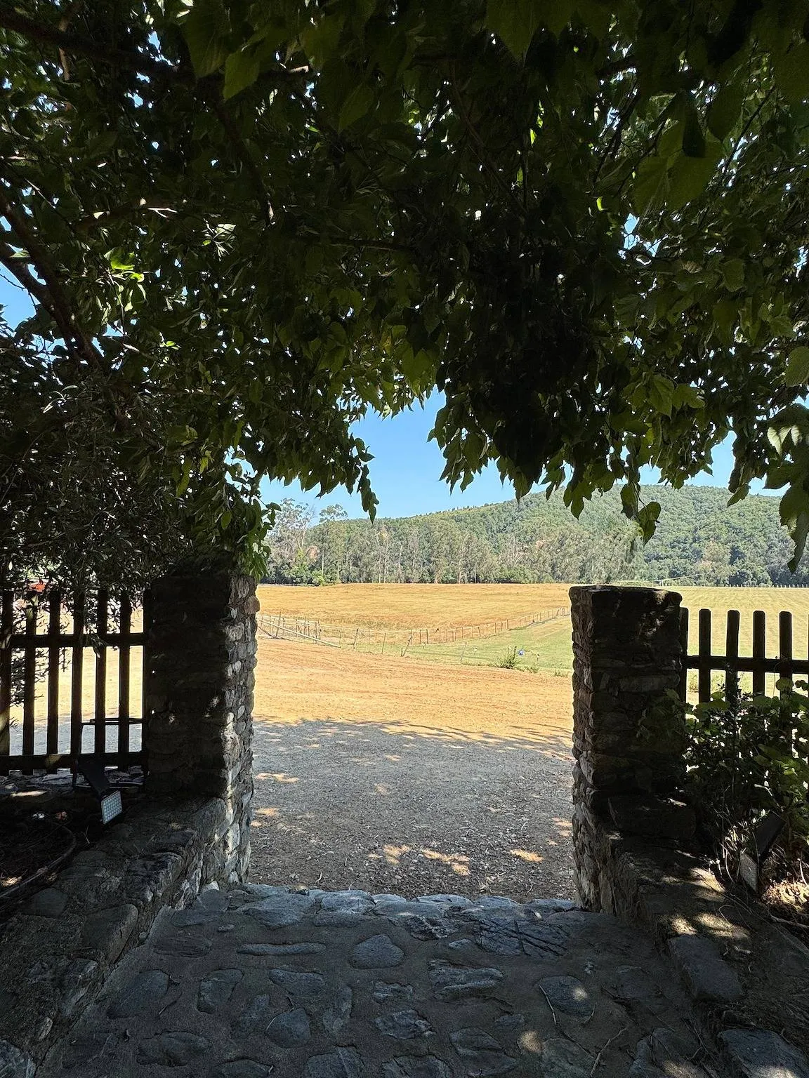 Studio de la ferme de Philippe, Antisanti : image 2