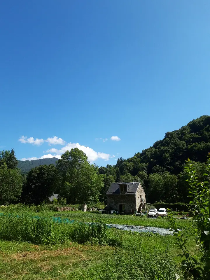 Studio de la Ferme des Légumes et des Rêves (gîte à la ferme), Biert
