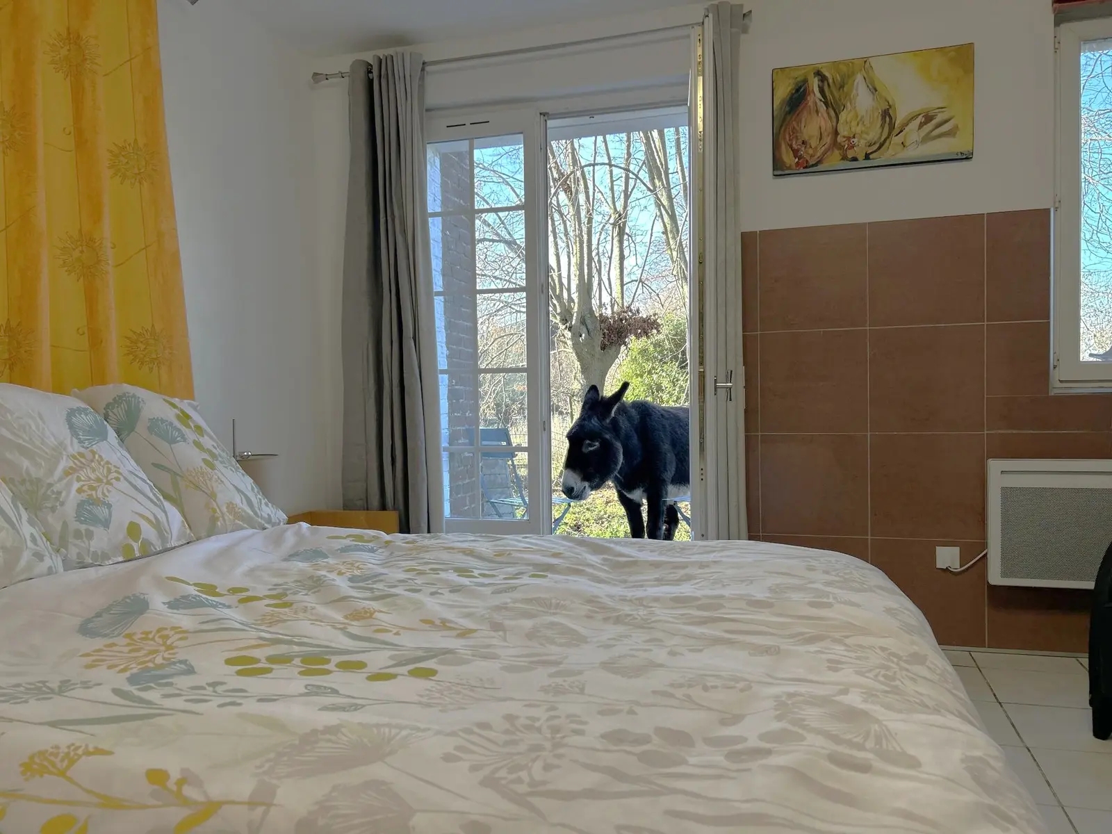 Studio de la ferme bio (gîte à la ferme), Herleville