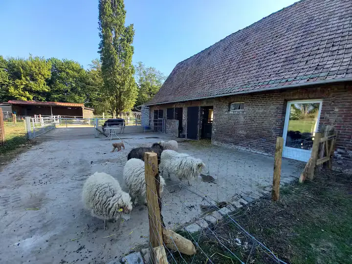 Studio de la Ferme Les Sens de Vivre, Oxelaëre : image 2