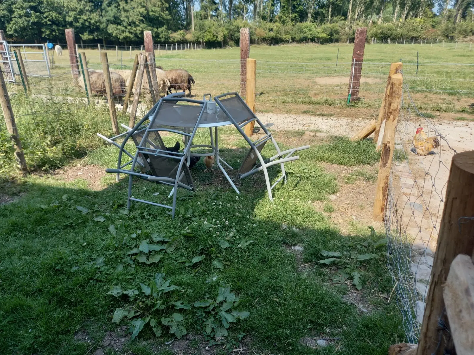 Studio de la Ferme Les Sens de Vivre, Oxelaëre : image 4