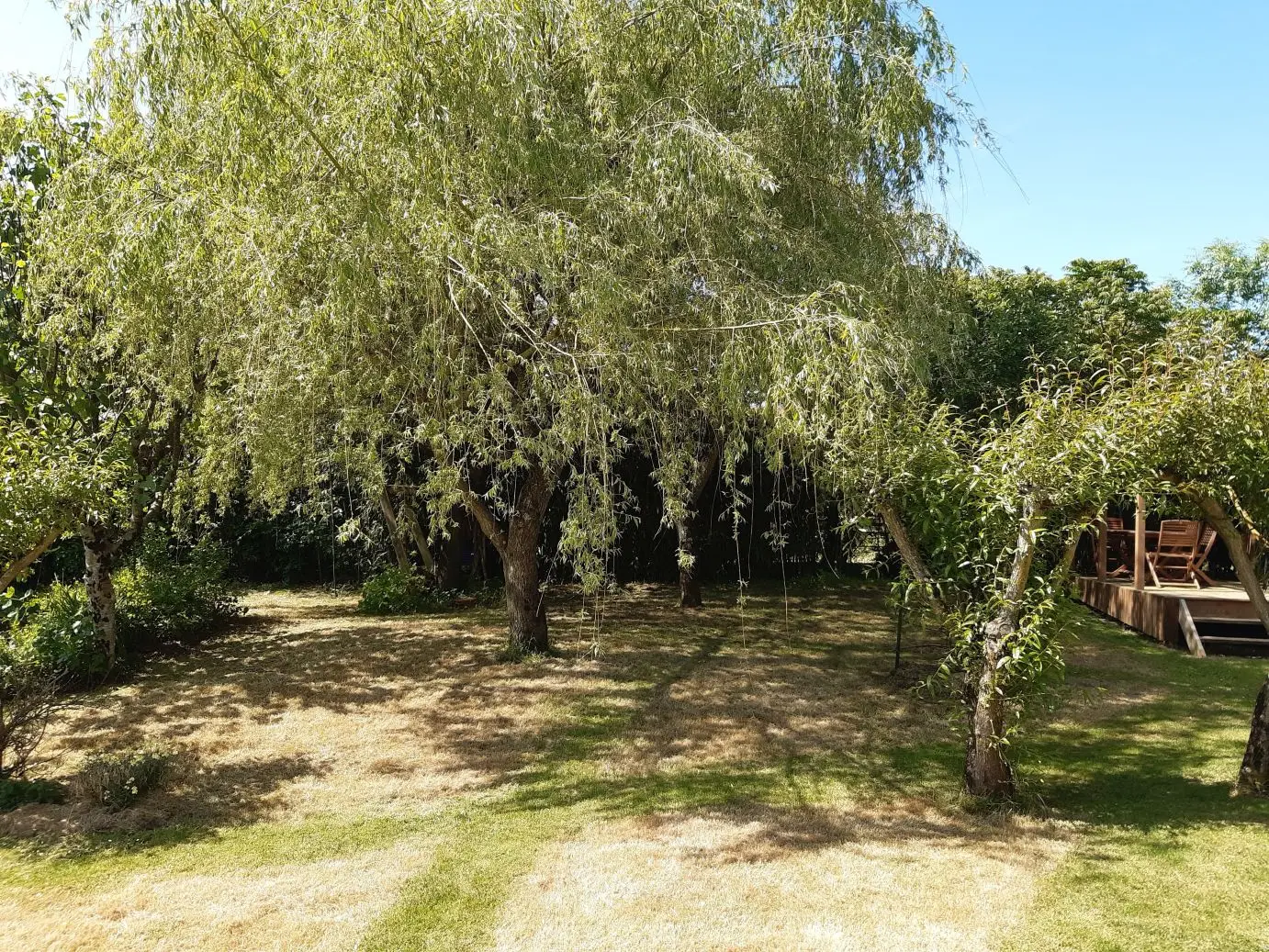 Studio en Bois du Jardin, Saint-Mesmin : image 4