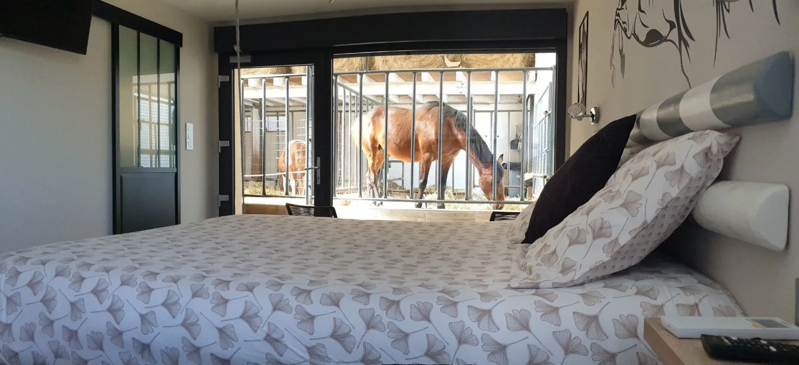 Suite 1 des Equi-lodges, Fraisnes-En-Saintois : image 4