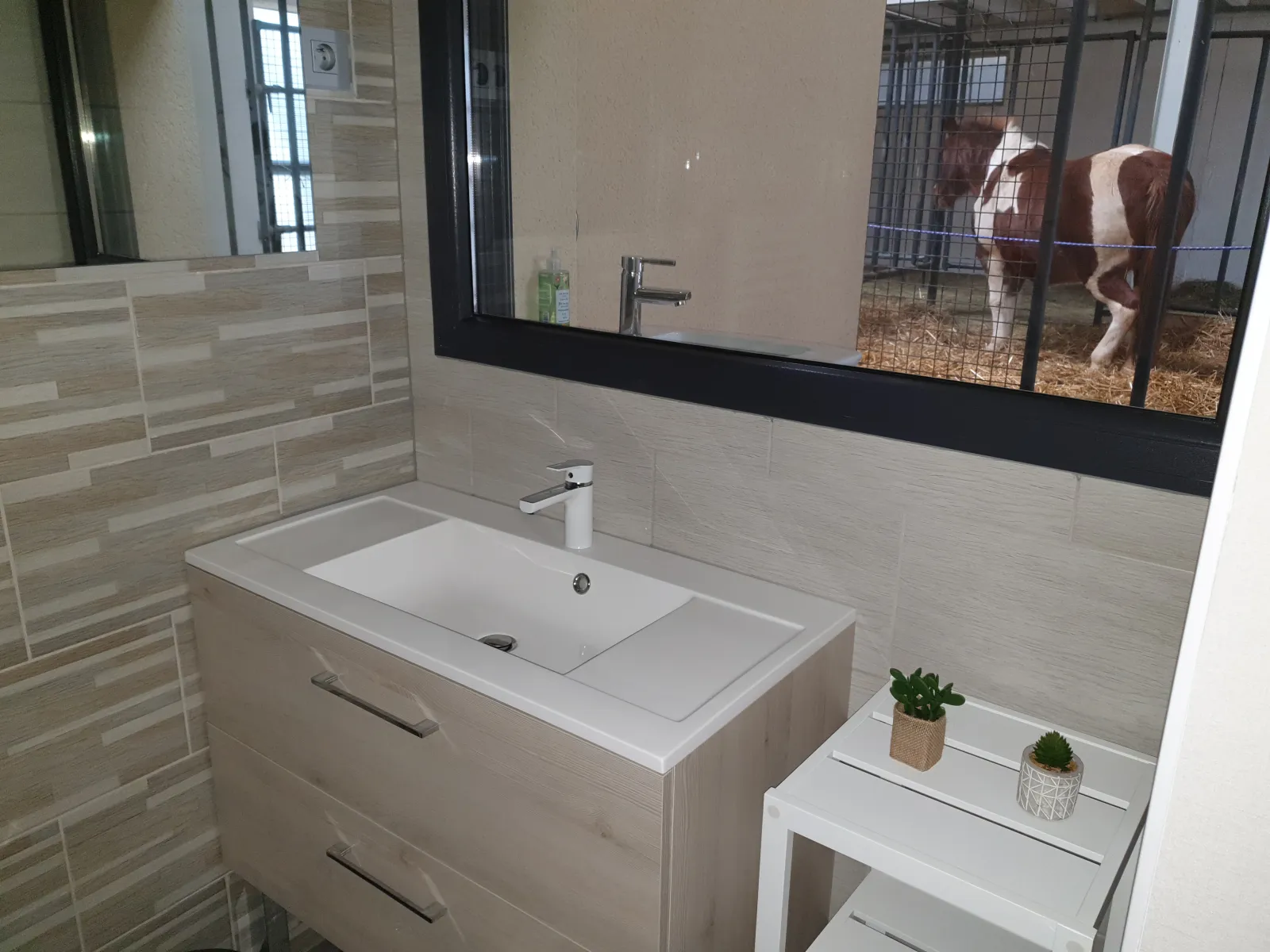 Suite 1 des Equi-lodges, Fraisnes-En-Saintois : image 5