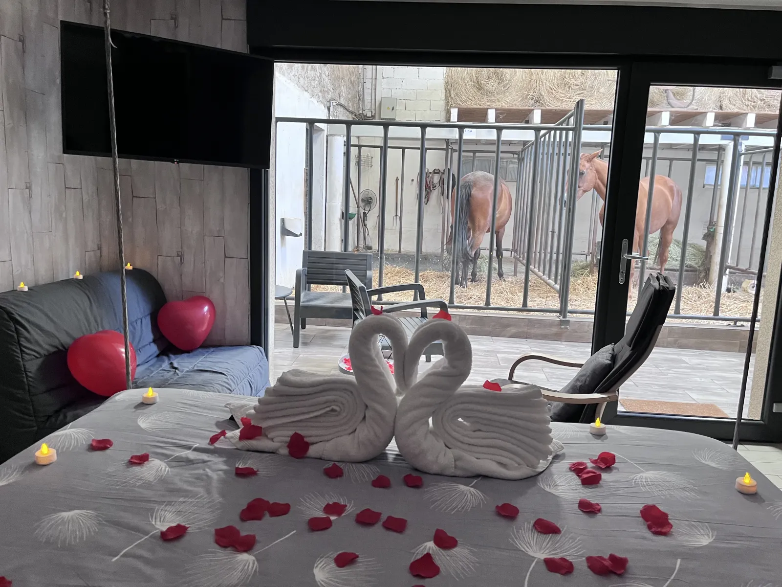 Suite 3 des Equi-lodges, Fraisnes-En-Saintois : image 5