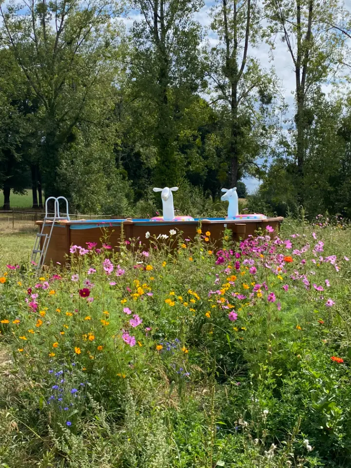 Tente Bell Nomad, Saint-Cyr-les-Champagnes : image 5
