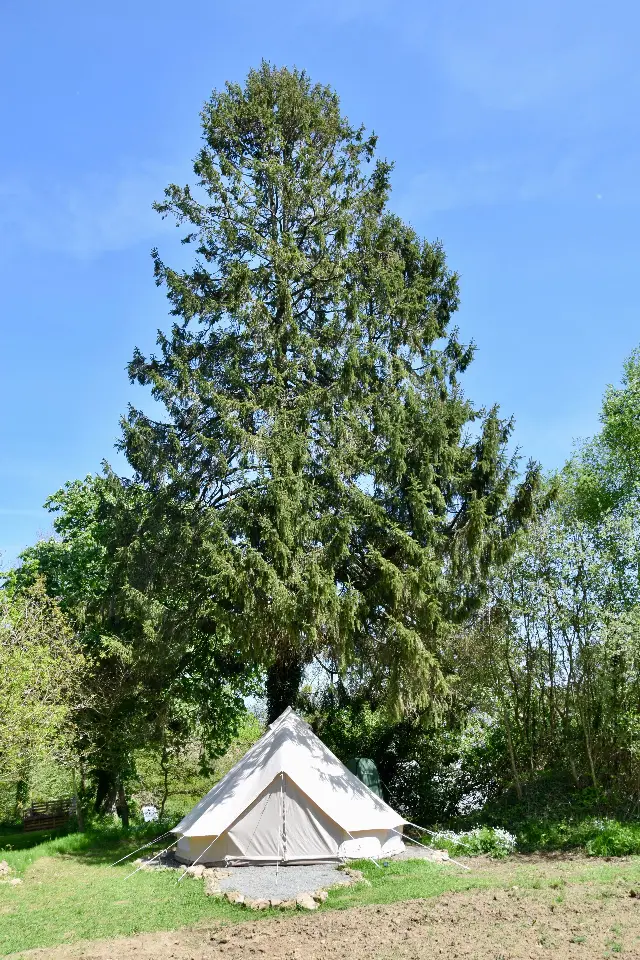 Tente de l'Angeberdière, Saint-Mars-sur-la-Futaie : image 2