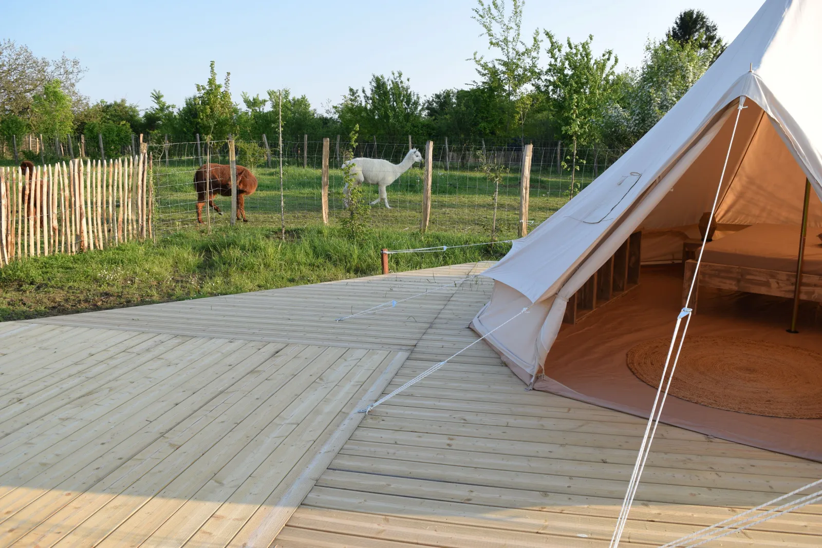 Tente Lima (tente à la ferme), Tuffalun