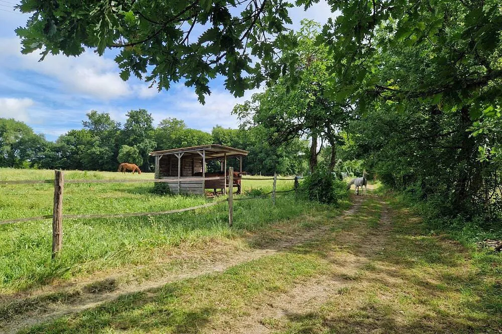 Tente nordique de l'élevage équestre, Ambrus : image 5