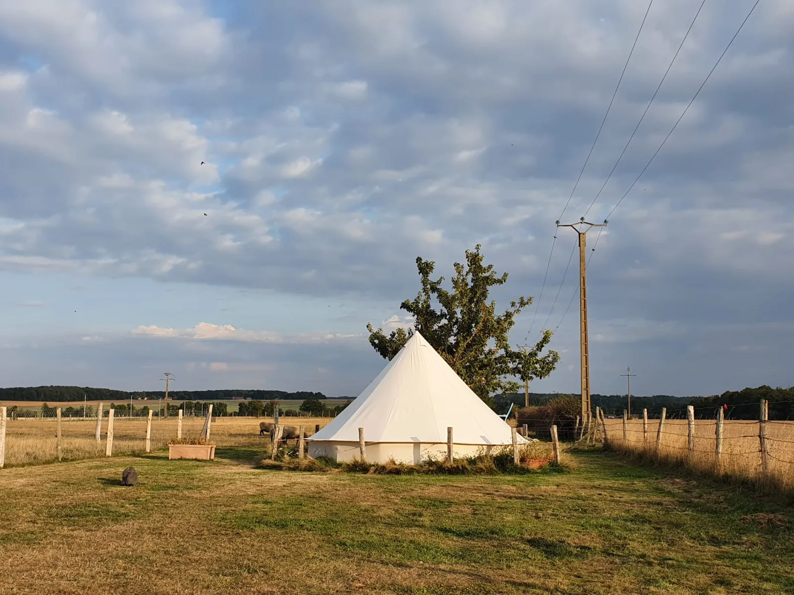 Tente Sibley T5 de Caraferme (tente à la ferme), Les Châtelets