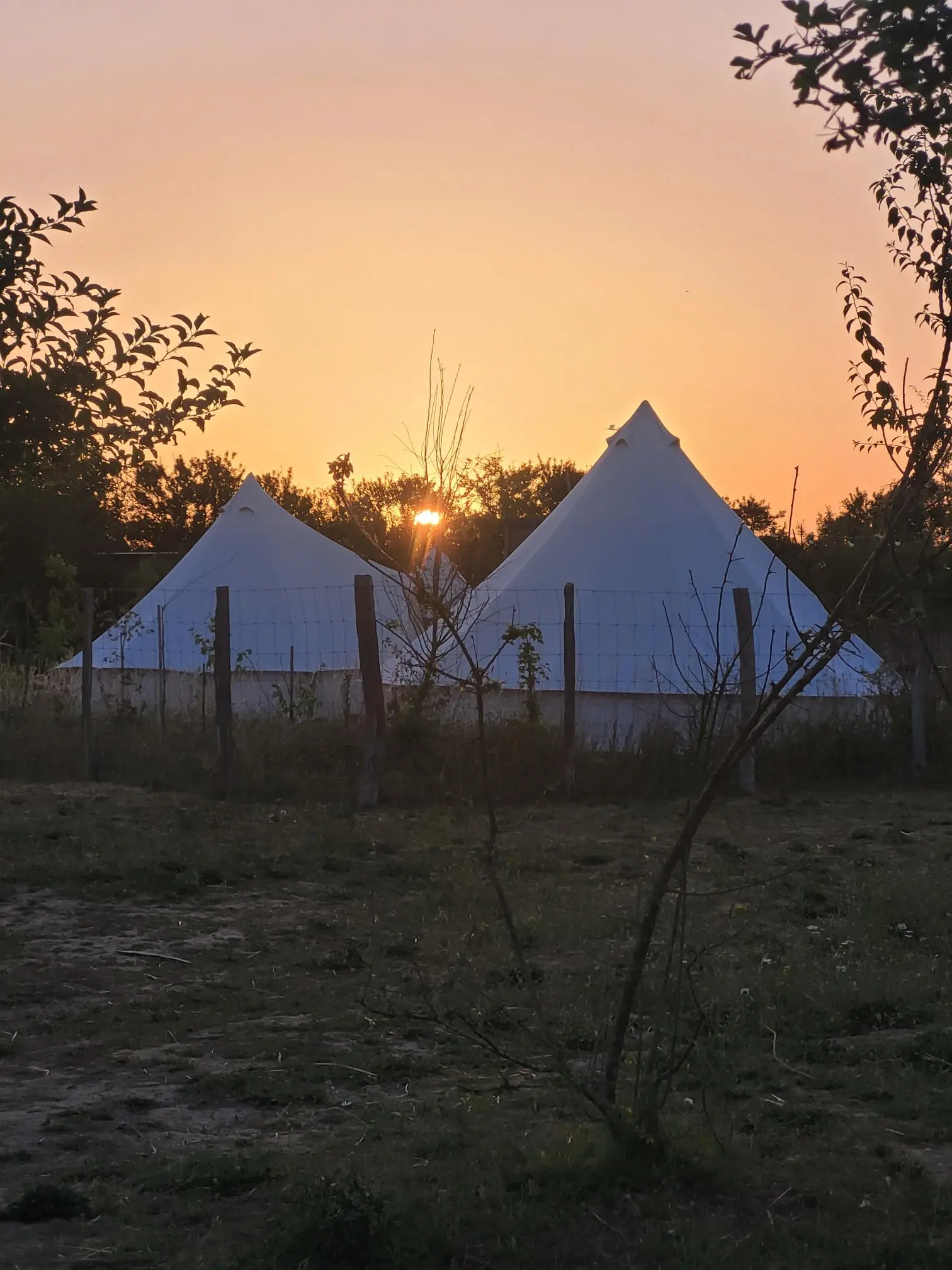 Tente Zéla, Tuffalun : image 2