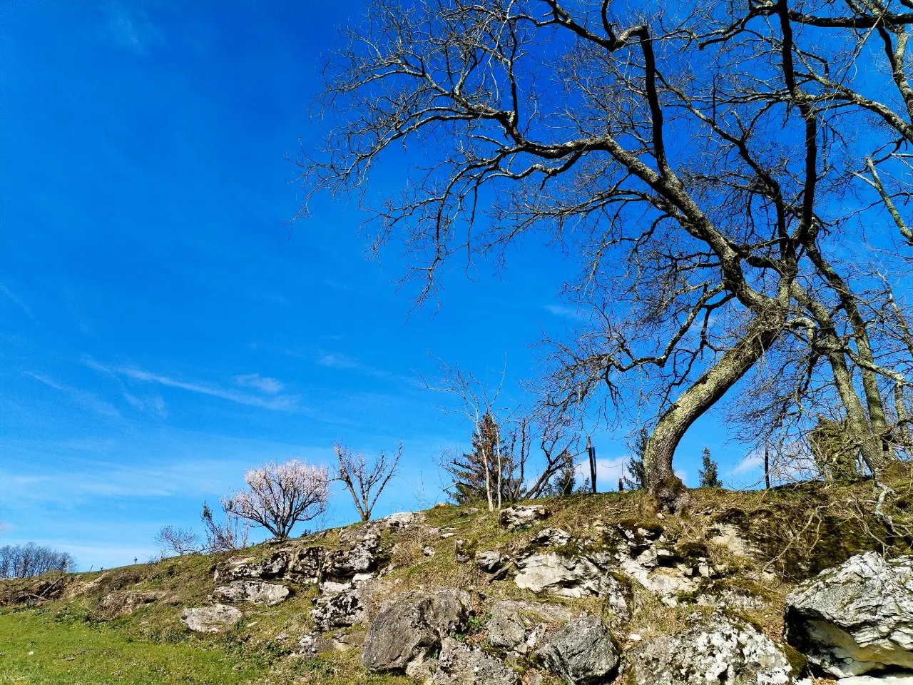 Terra Bulle, Villeneuve-sur-Lot : image 4