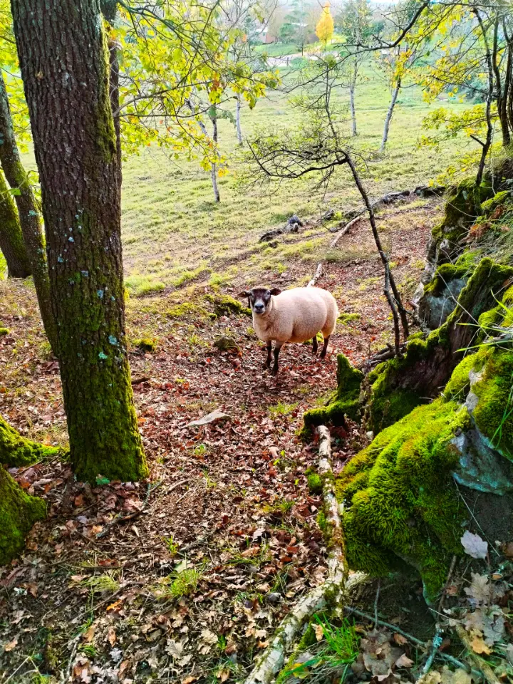 Terra Bulle, Villeneuve-sur-Lot : image 5