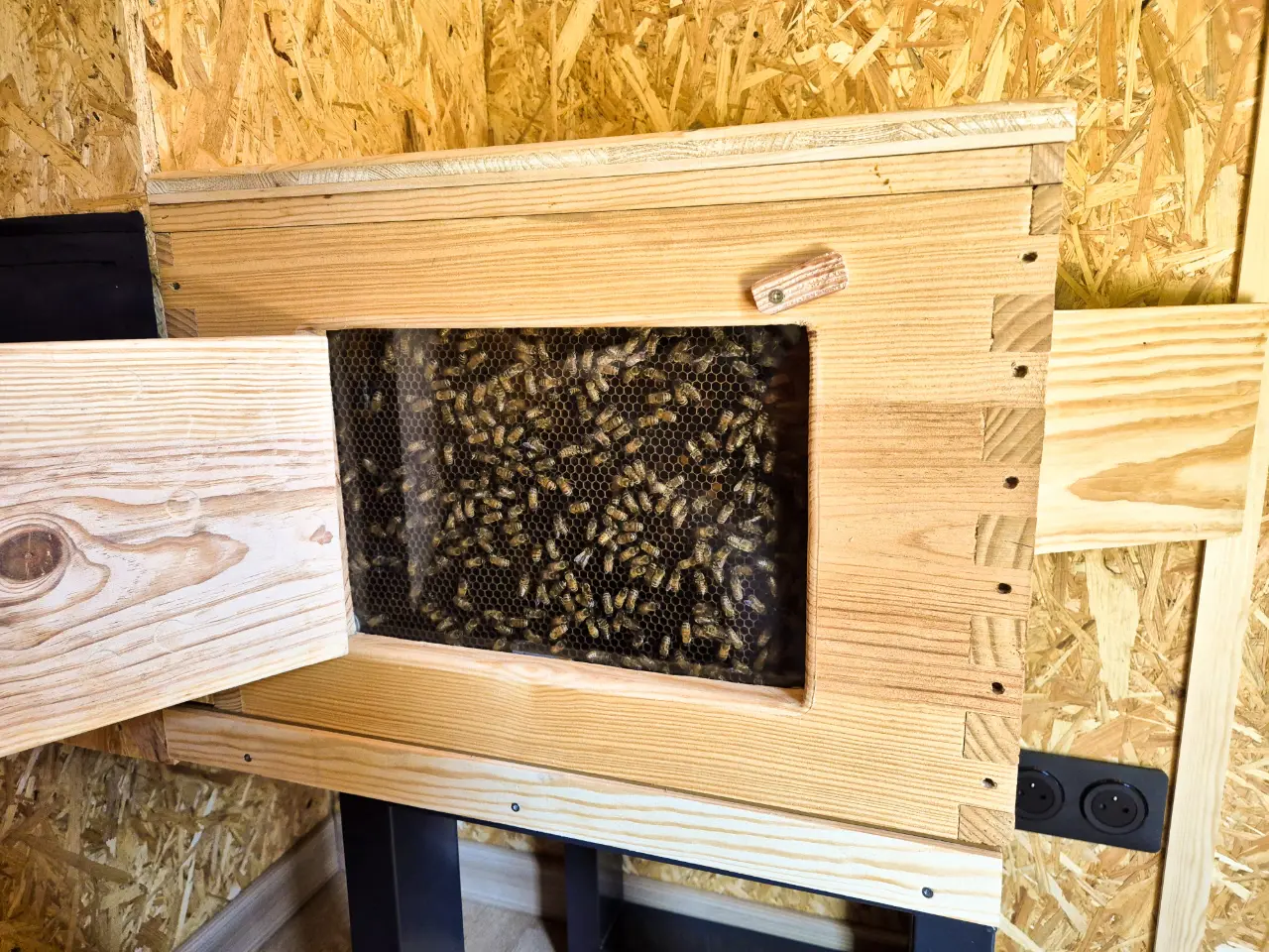 Tiny House aux Abeilles, Orange : image 3