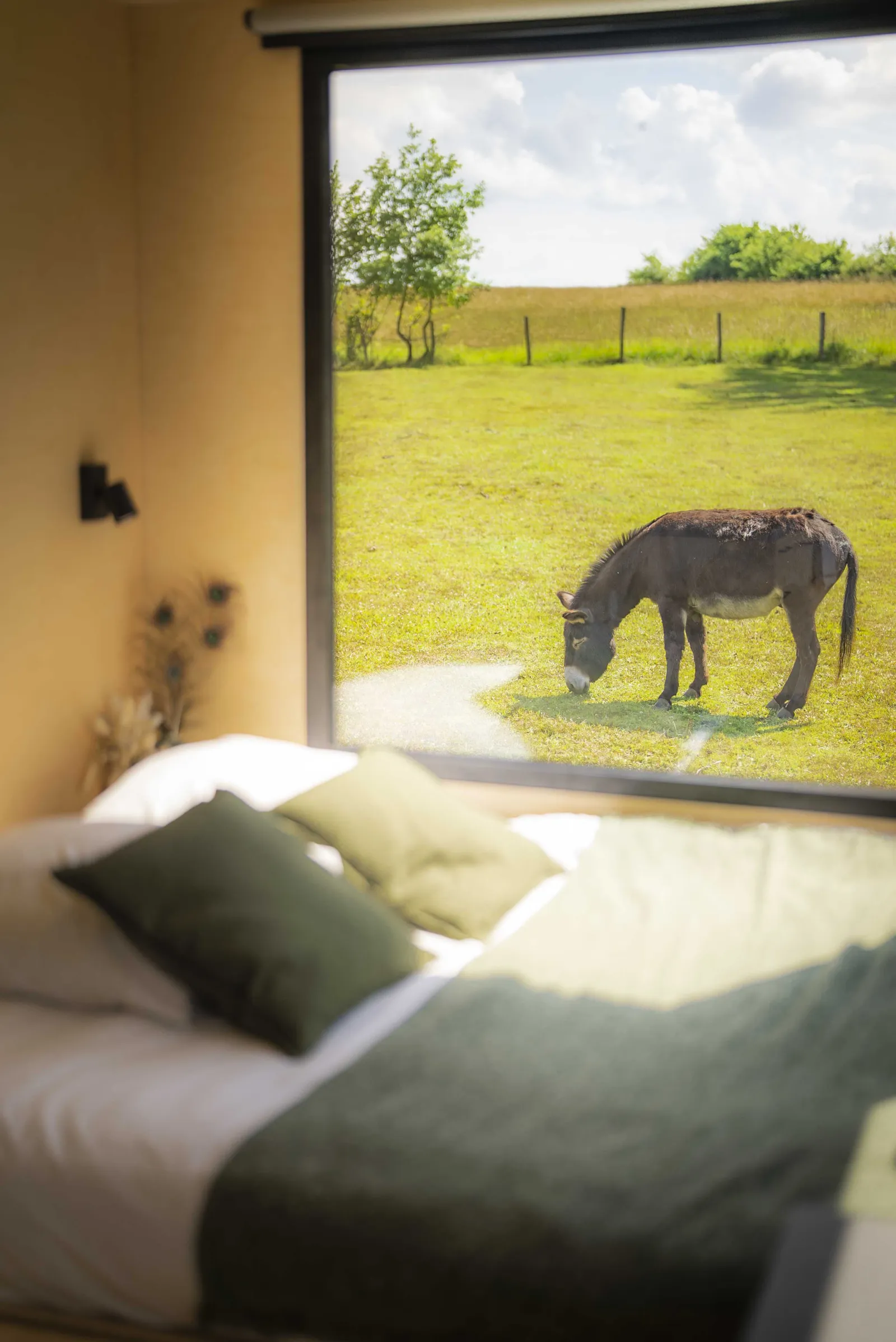 Tiny House de Doudoum, Les Hays : image 3