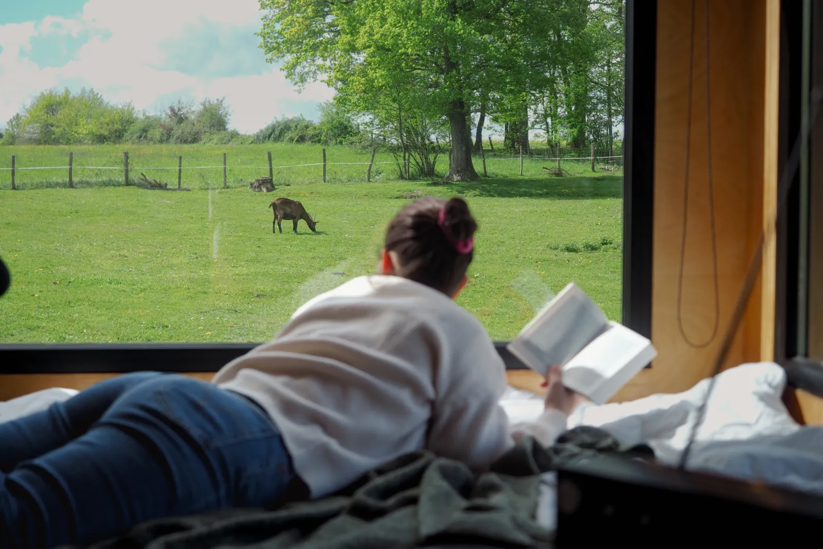 Tiny House de Doudoum, Les Hays : image 4