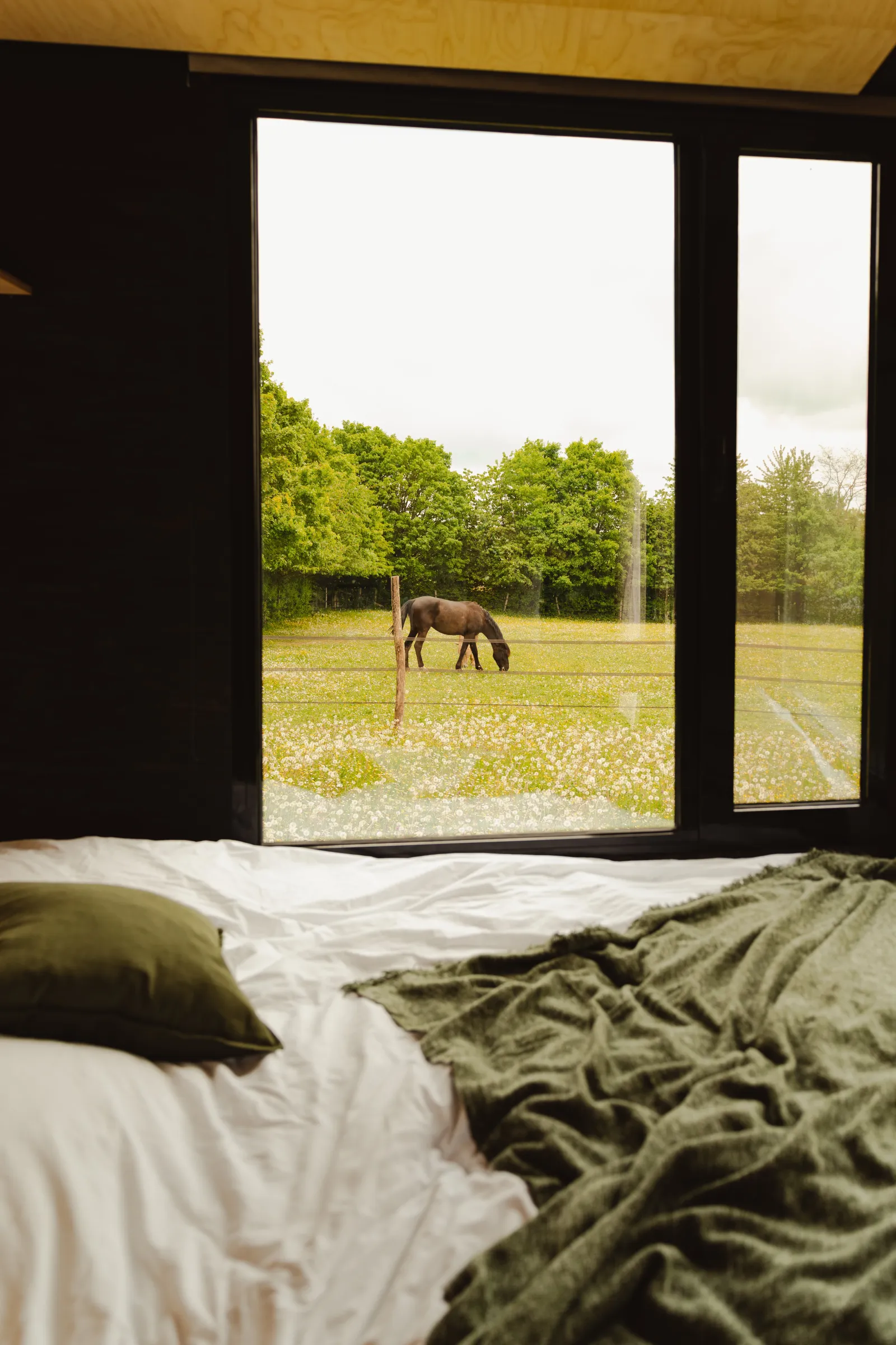 Tiny House du Puits Carré, Dame-Marie : image 2