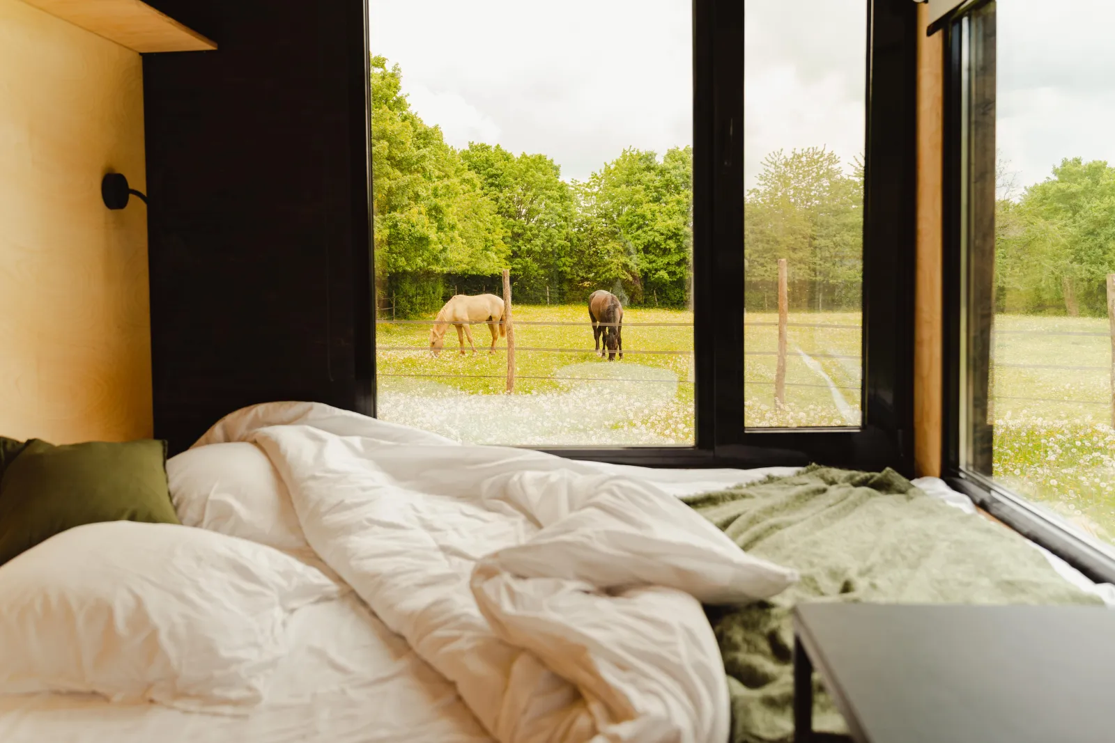 Tiny House du Puits Carré, Dame-Marie : image 3