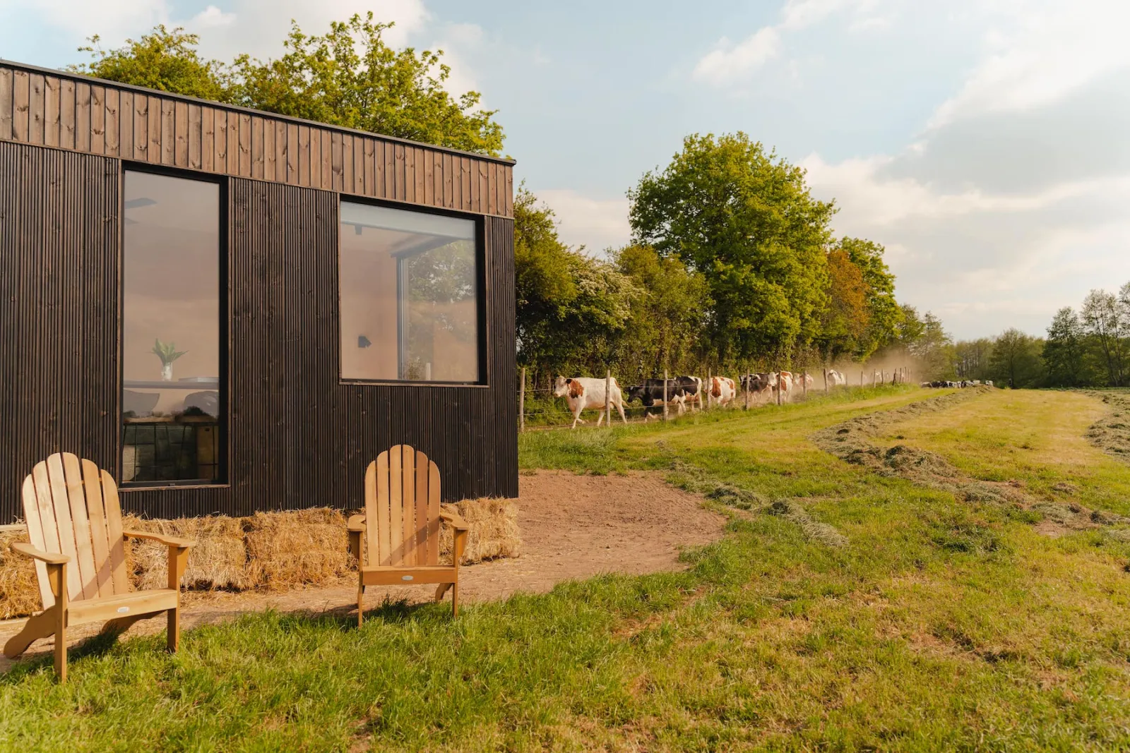 Tiny House des Alpes Mancelles, Moulins-le-Carbonnel : image 2