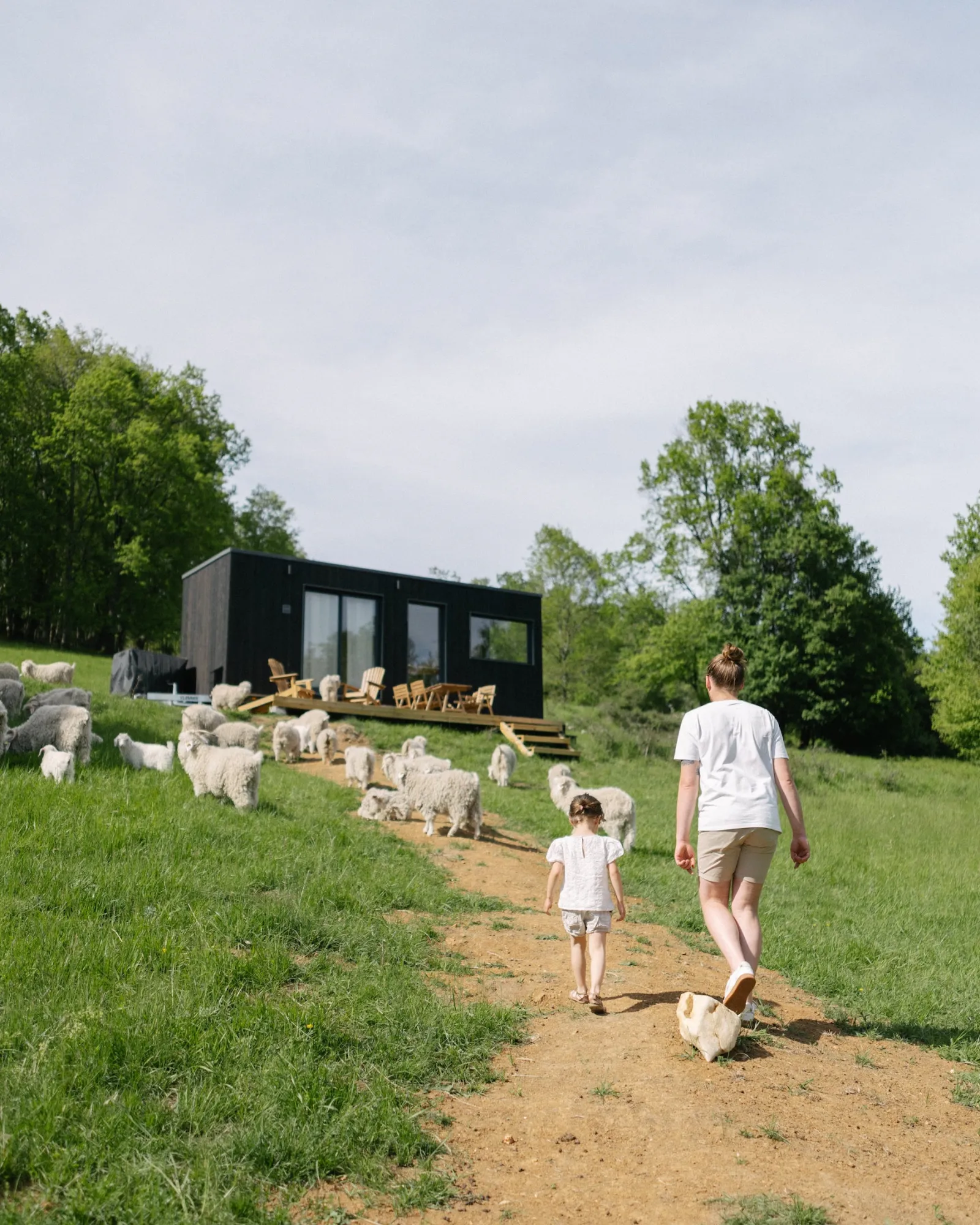 Tiny House des chèvres angora, Belbèze-en-Comminges : image 2