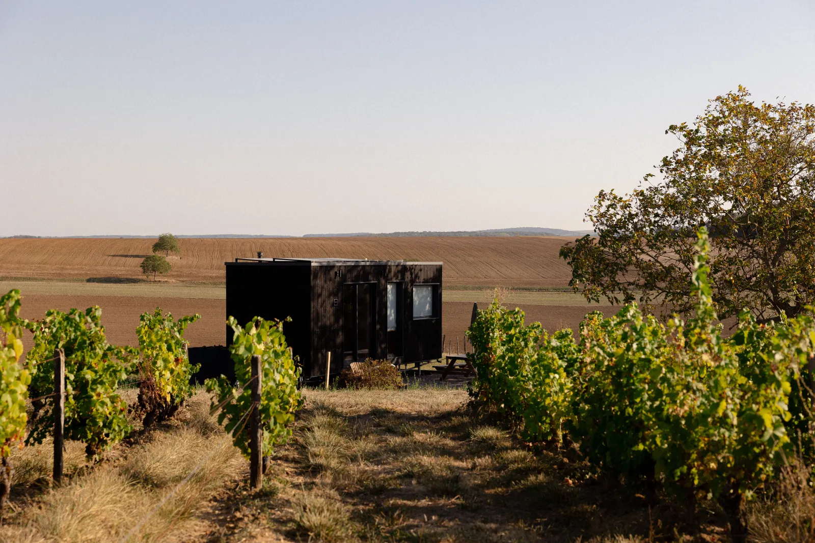 Tiny House des vignes du Giennois (hébergement insolite à la ferme), Saint-Père