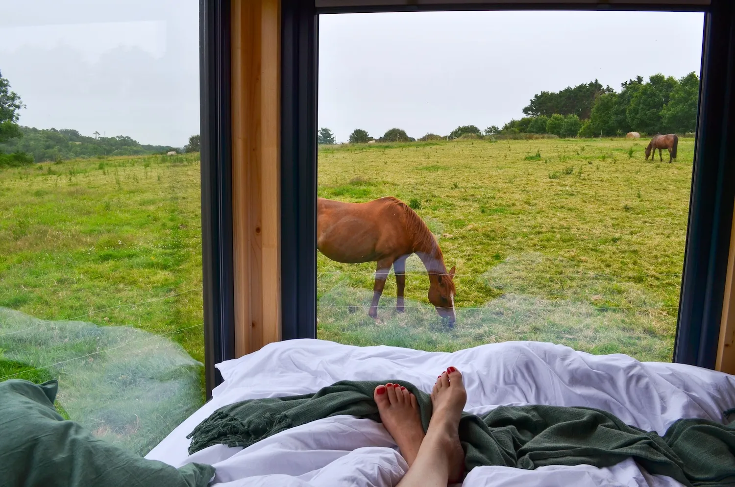 Tiny House du champ de thé, Plonéour-Lanvern : image 3