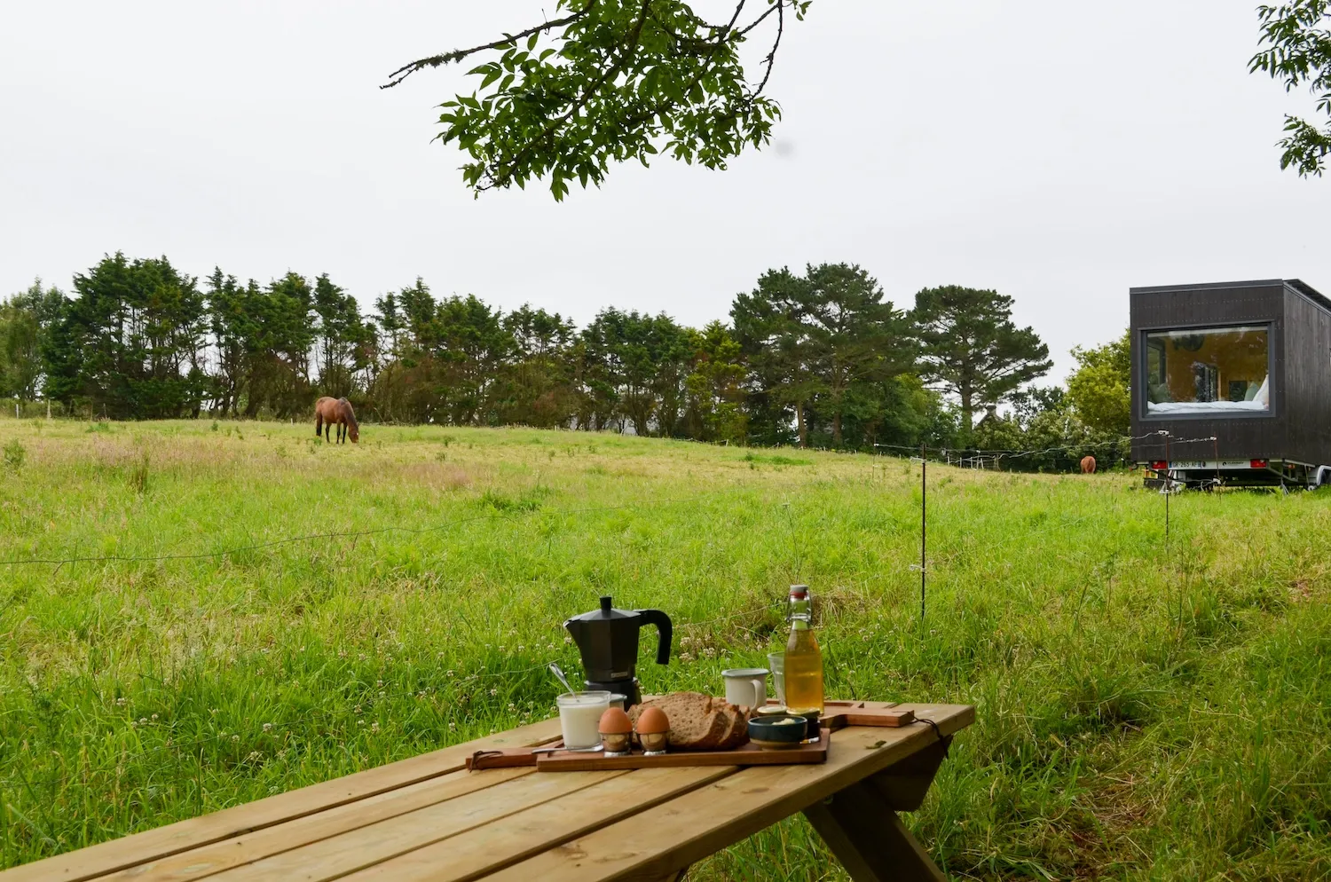 Tiny House du champ de thé, Plonéour-Lanvern : image 4