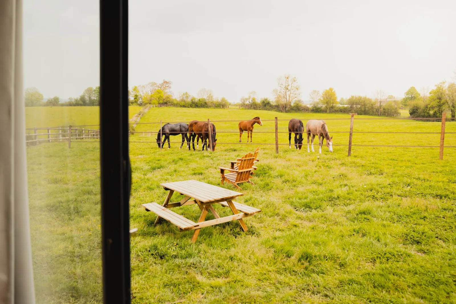 Tiny House du Potager, Saint-Étienne-la-Thillaye : image 3
