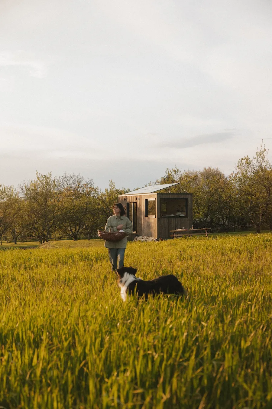 Tiny House du verger de mirabelles (hébergement insolite à la ferme), Rarécourt