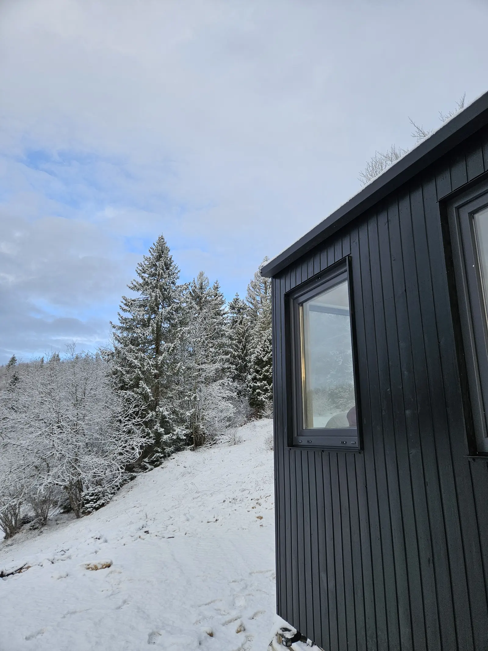Tiny House L'Alpage, Les Bouchoux : image 3
