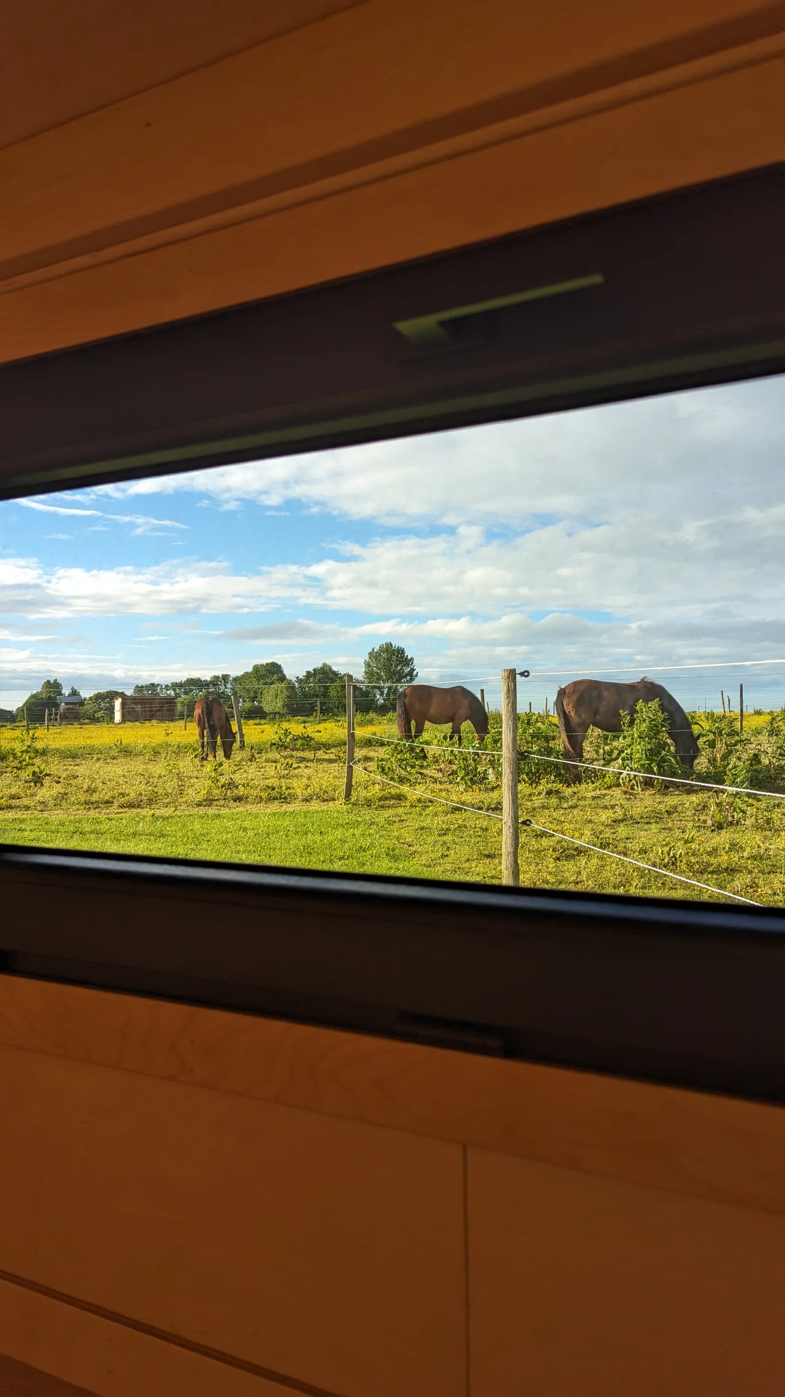 Tiny House La Cavalerie, Annouville-Villemesnil : image 4