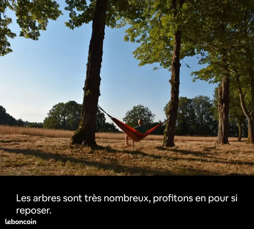 Tiny House Rohen, Sablonceaux : image 5