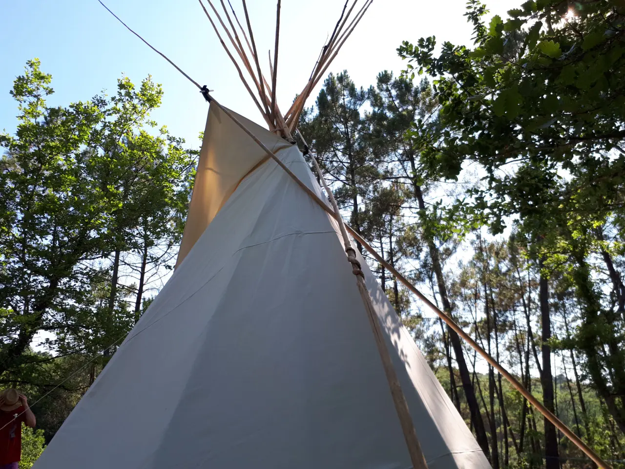 Tipi Castor Assis, Montcléra : image 5