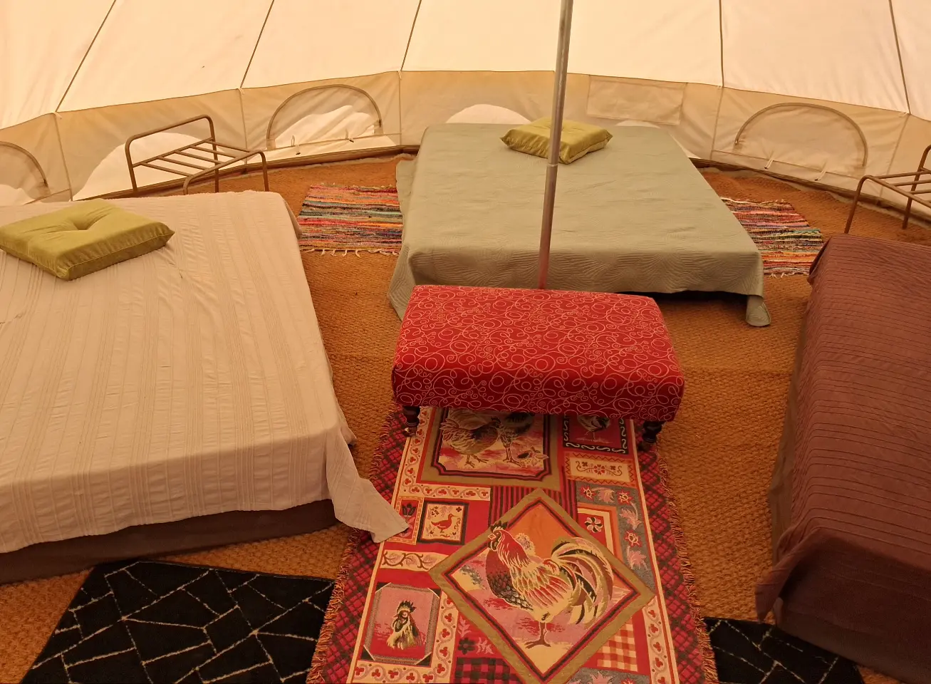 Tipi Couple du Clos des Alpagas, Bonnac-la-Côte : image 4